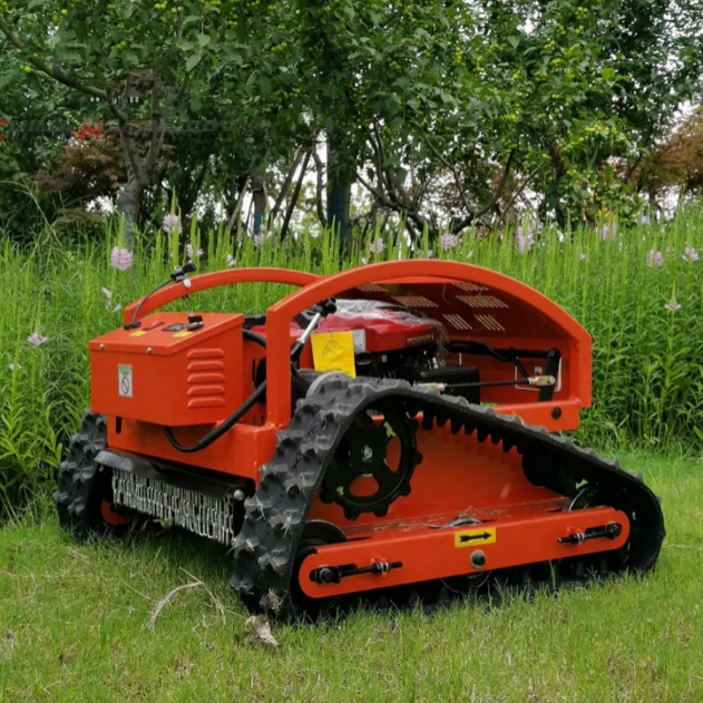 Rasenmäher mit Fernsteuerung