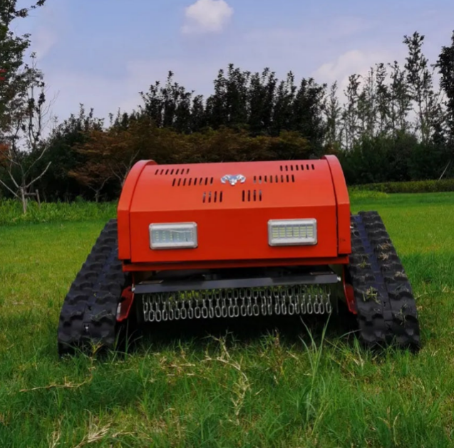 Rasenmäher mit Fernsteuerung